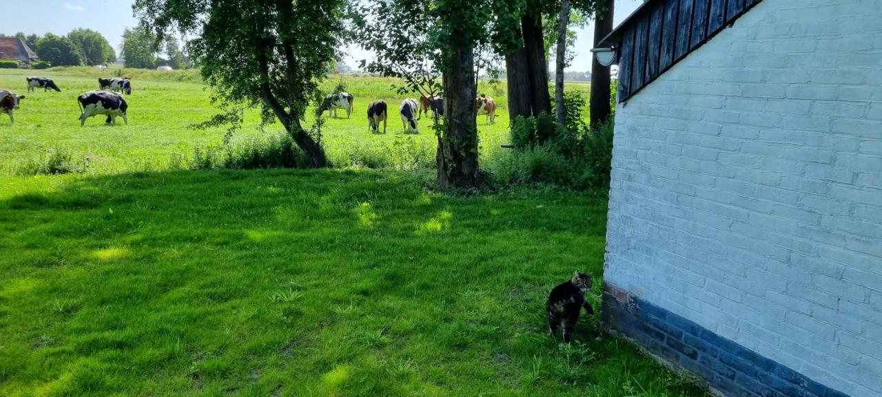 Вилла Slapen Bij Bonanza Bantega Экстерьер фото